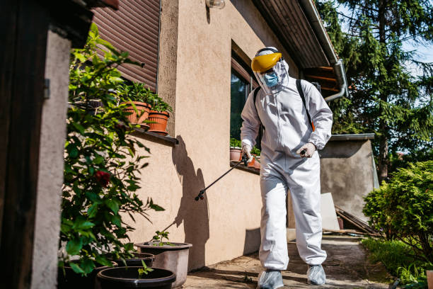 Best Pest Prevention Services  in Port Huron, MI