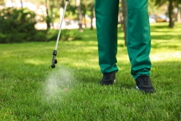 Professional Pest Control in Port Huron, MI