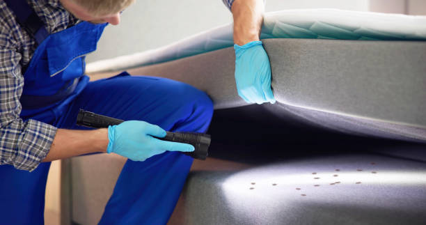 Best Cockroach Control Services  in Port Huron, MI