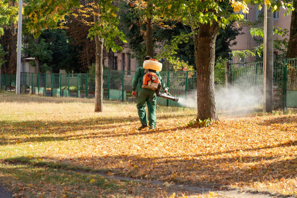 Best Pest Control for Businesses  in Port Huron, MI