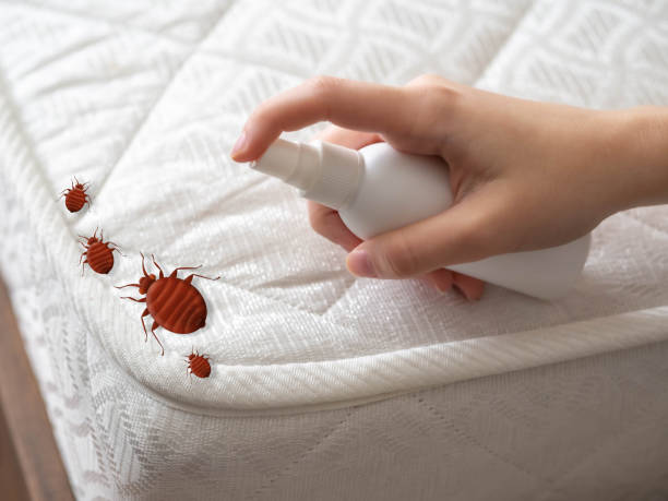 Best Affordable Pest Control Services  in Port Huron, MI