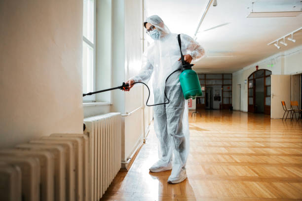 Best Affordable Pest Control Services  in Port Huron, MI