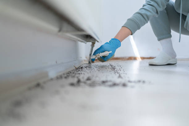 Best Emergency Pest Control  in Port Huron, MI