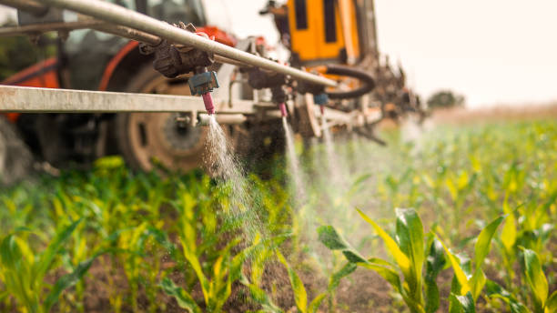 Best Pest Prevention Services  in Port Huron, MI